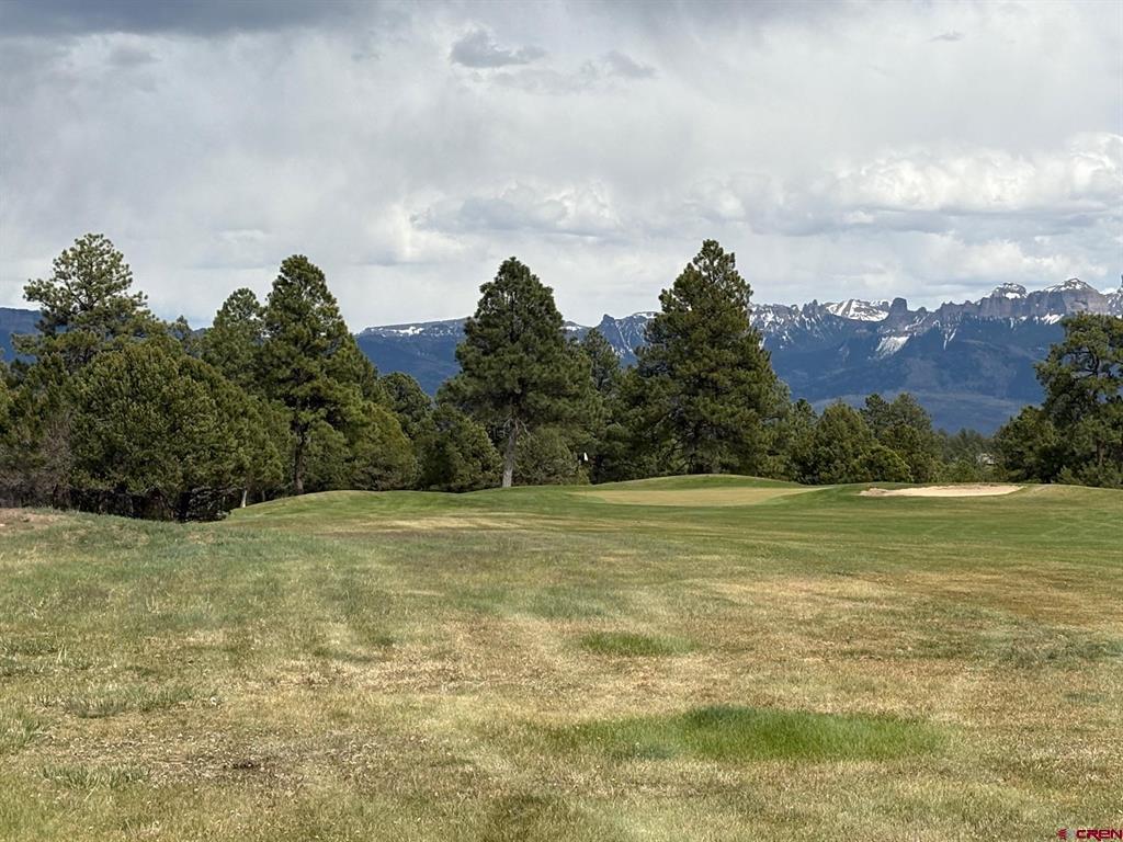 1695 Marmot Drive Ridgway CO 81432