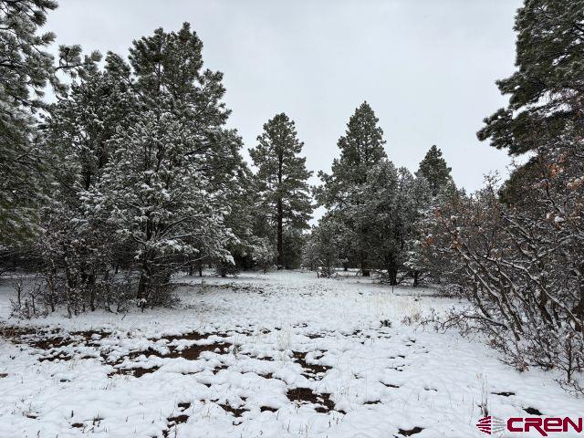 1695 Marmot Drive Ridgway CO 81432