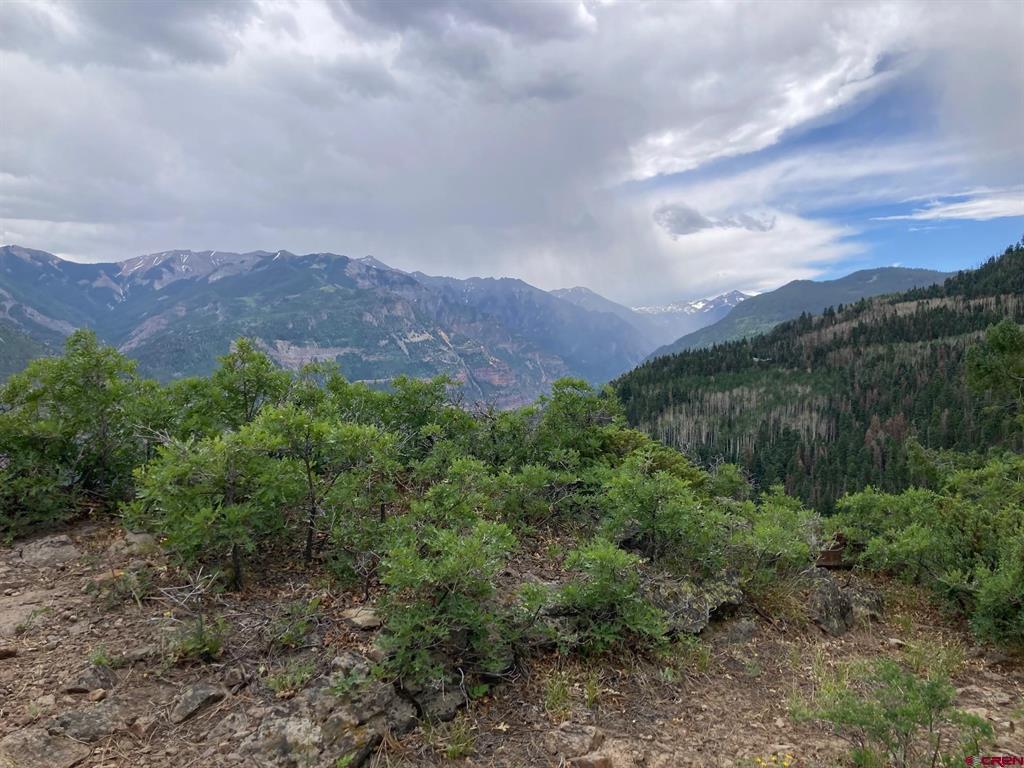 361 Golden Ridge Drive Ridgway CO 81432