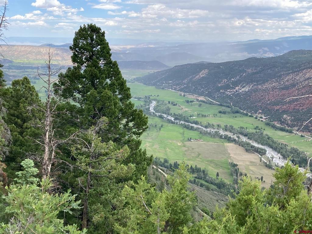 361 Golden Ridge Drive Ridgway CO 81432