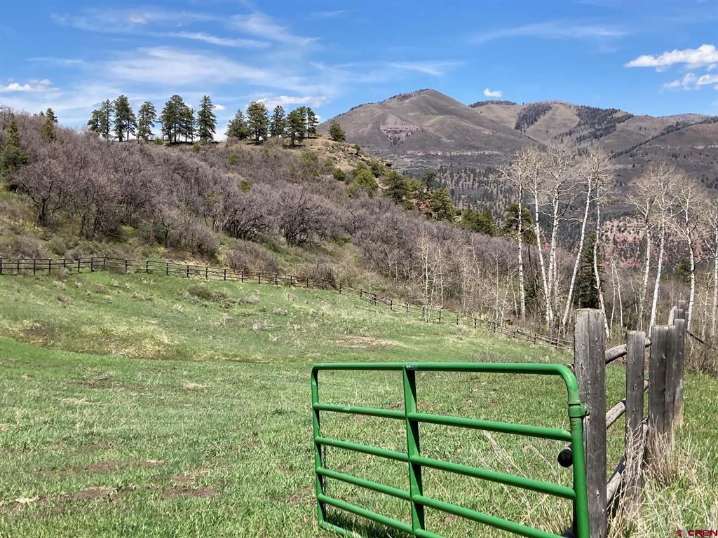 361 Golden Ridge Drive Ridgway CO 81432