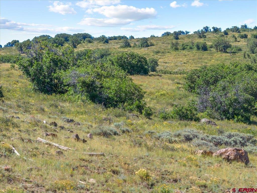 813 Cornestone Loop Montrose CO 81403