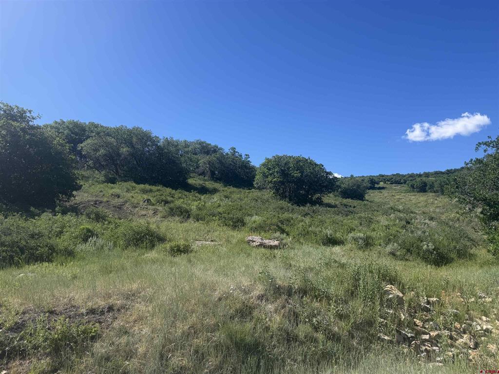 813 Cornestone Loop Montrose CO 81403