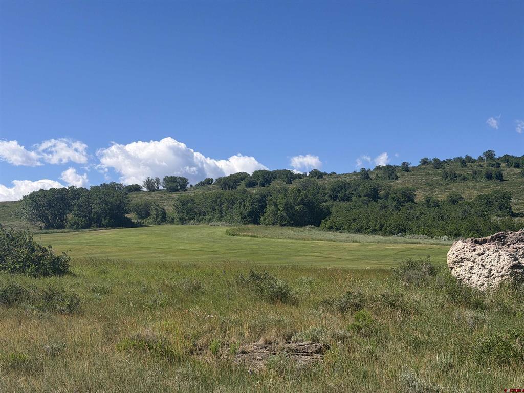 813 Cornestone Loop Montrose CO 81403