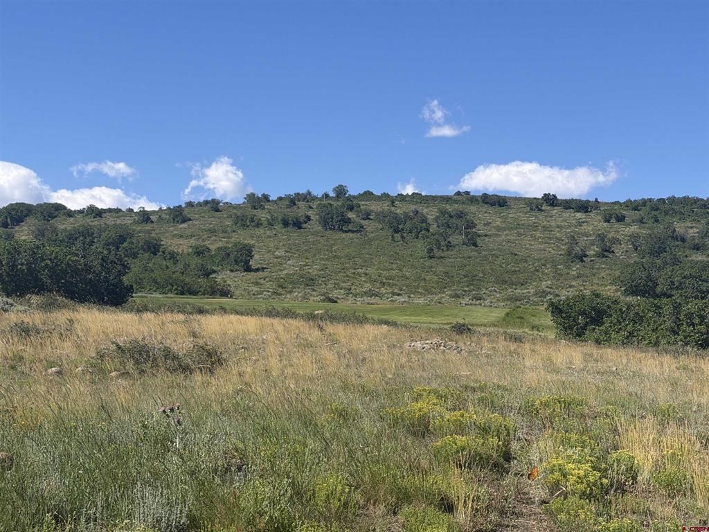 813 Cornestone Loop Montrose CO 81403