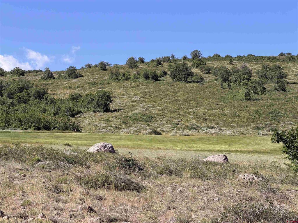813 Cornestone Loop Montrose CO 81403
