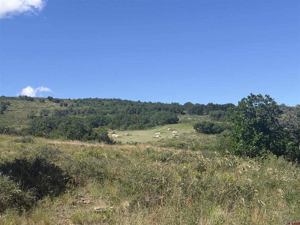 813 Cornestone Loop Montrose CO 81403