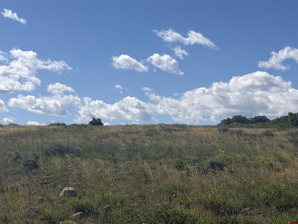 813 Cornestone Loop Montrose CO 81403
