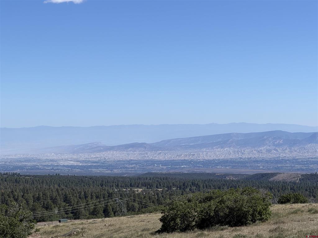 813 Cornestone Loop Montrose CO 81403