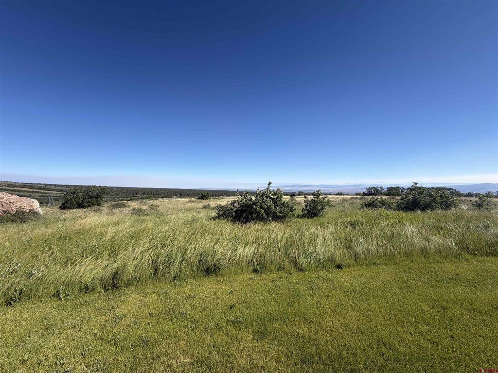 813 Cornestone Loop Montrose CO 81403
