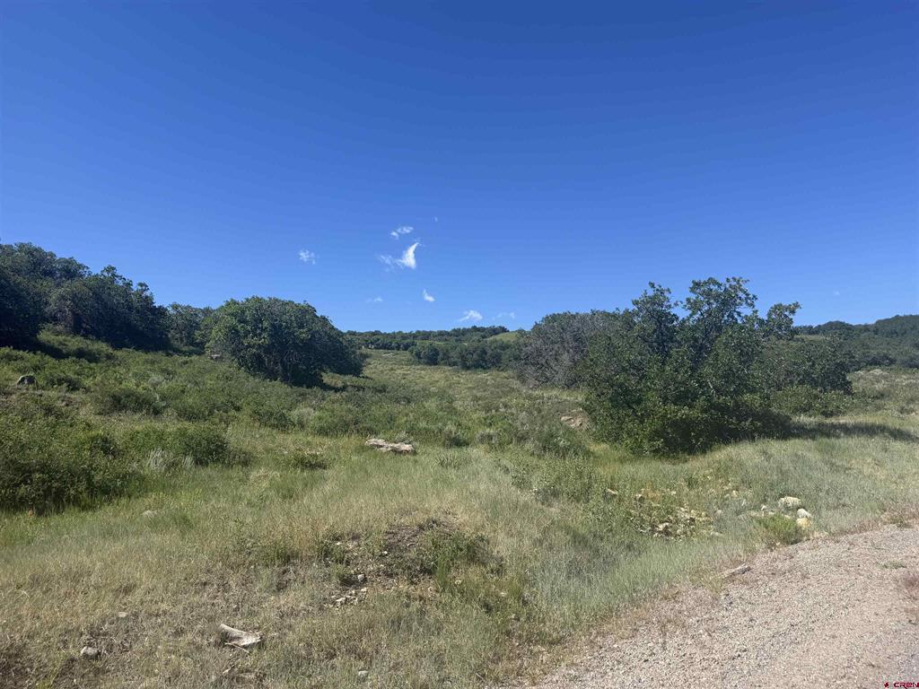 813 Cornestone Loop Montrose CO 81403