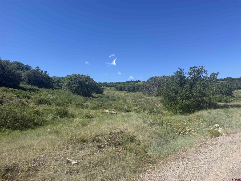 813 Cornestone Loop Montrose CO 81403
