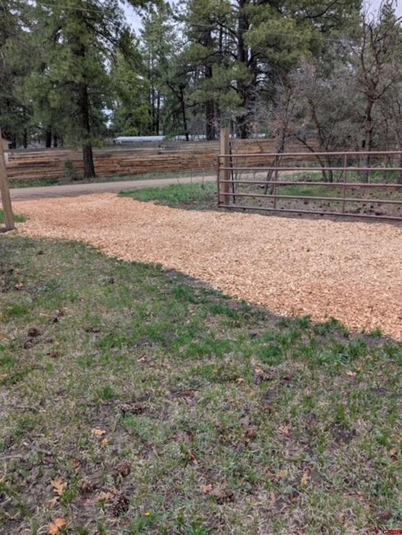 1205 Ute Drive Pagosa Springs CO 81147