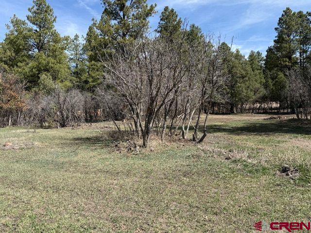 1205 Ute Drive Pagosa Springs CO 81147