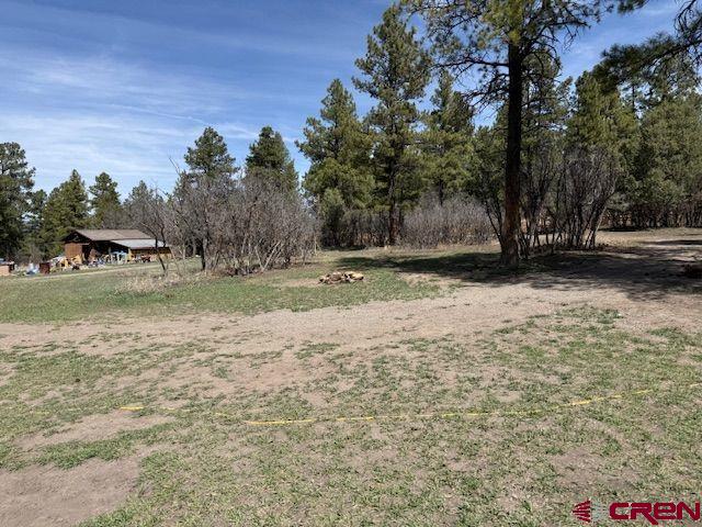 1205 Ute Drive Pagosa Springs CO 81147