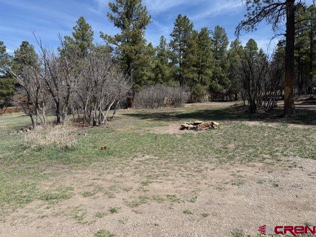 1205 Ute Drive Pagosa Springs CO 81147