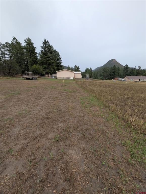 1205 Ute Drive Pagosa Springs CO 81147