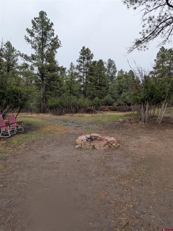 1205 Ute Drive Pagosa Springs CO 81147