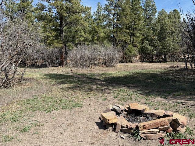 1205 Ute Drive Pagosa Springs CO 81147