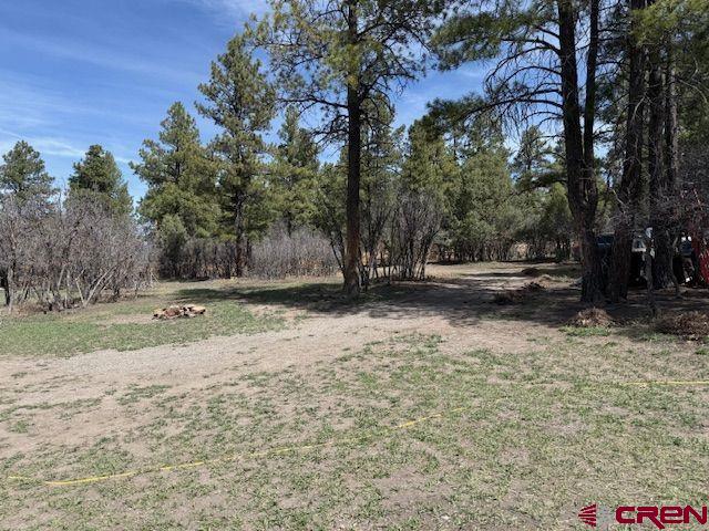 1205 Ute Drive Pagosa Springs CO 81147