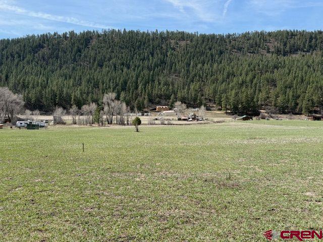 1205 Ute Drive Pagosa Springs CO 81147
