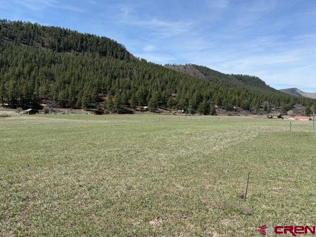 1205 Ute Drive Pagosa Springs CO 81147