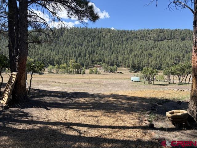 1205 Ute Drive Pagosa Springs CO 81147