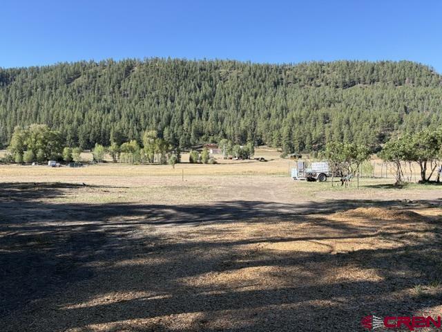 1205 Ute Drive Pagosa Springs CO 81147