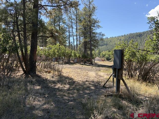 1205 Ute Drive Pagosa Springs CO 81147