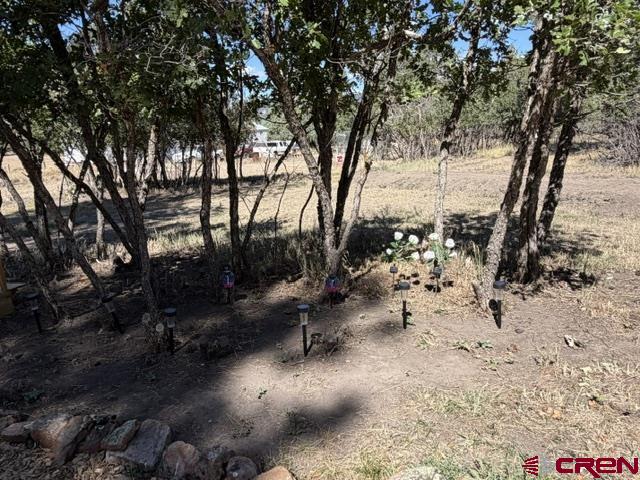 1205 Ute Drive Pagosa Springs CO 81147