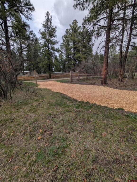 1205 Ute Drive Pagosa Springs CO 81147