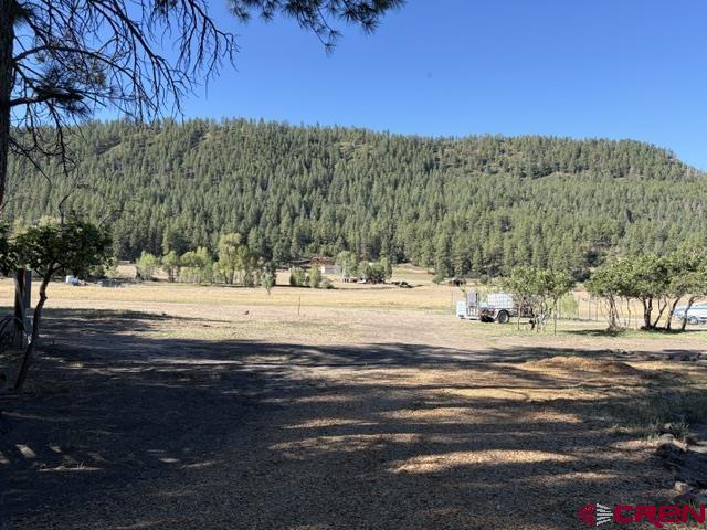 1205 Ute Drive Pagosa Springs CO 81147