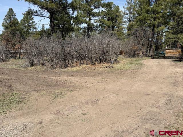 1205 Ute Drive Pagosa Springs CO 81147