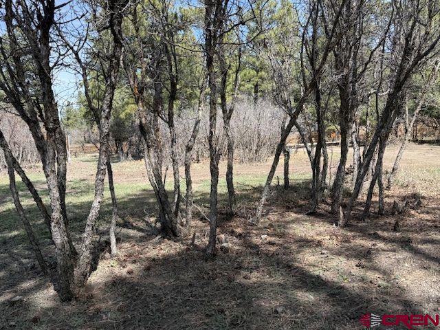 1205 Ute Drive Pagosa Springs CO 81147