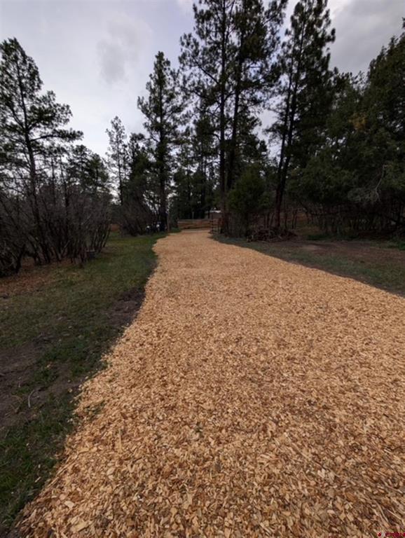 1205 Ute Drive Pagosa Springs CO 81147