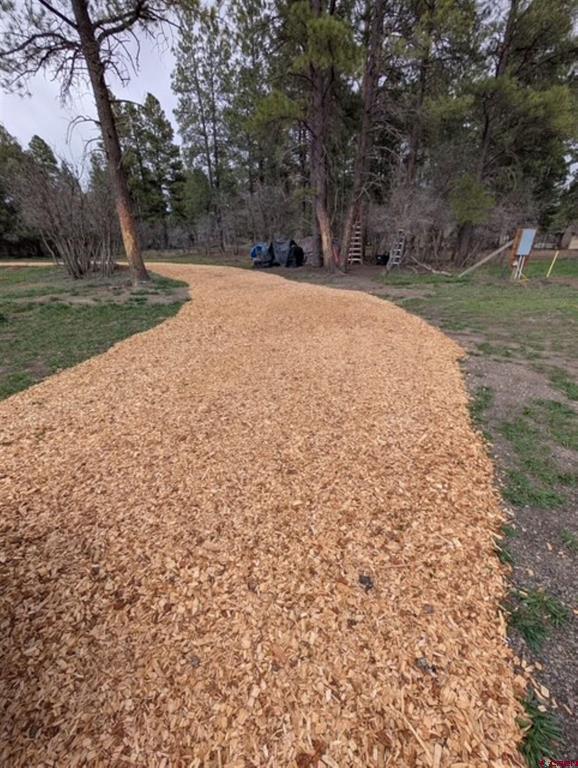 1205 Ute Drive Pagosa Springs CO 81147