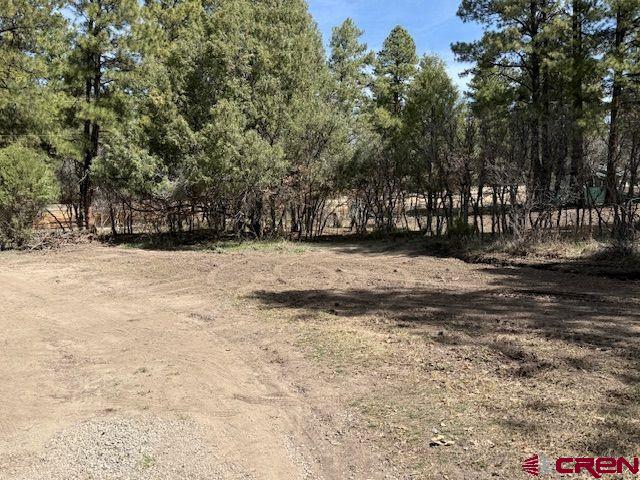 1205 Ute Drive Pagosa Springs CO 81147
