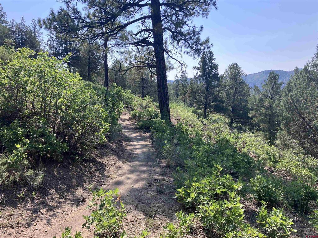 104 Winterberry Court Durango CO 81301