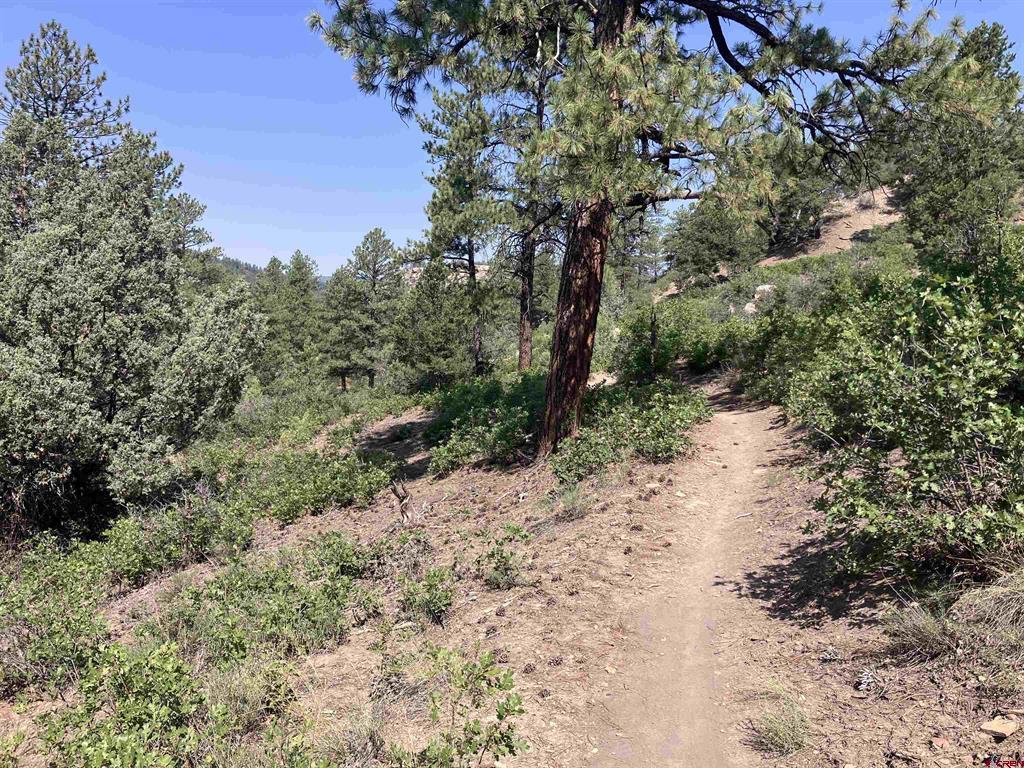 104 Winterberry Court Durango CO 81301