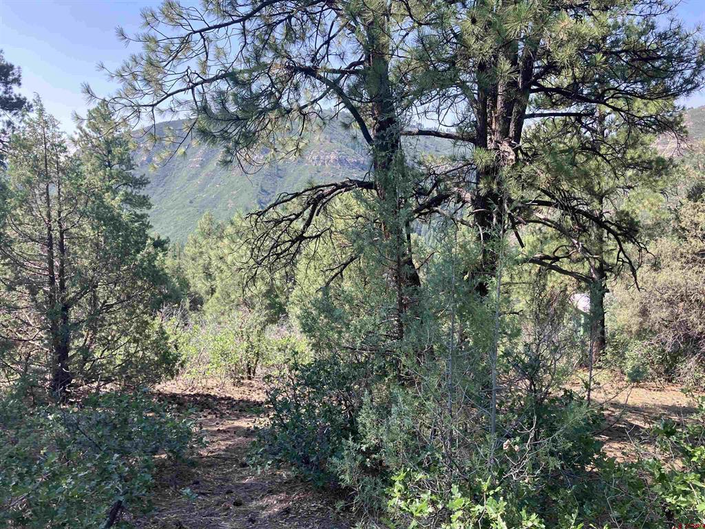 104 Winterberry Court Durango CO 81301