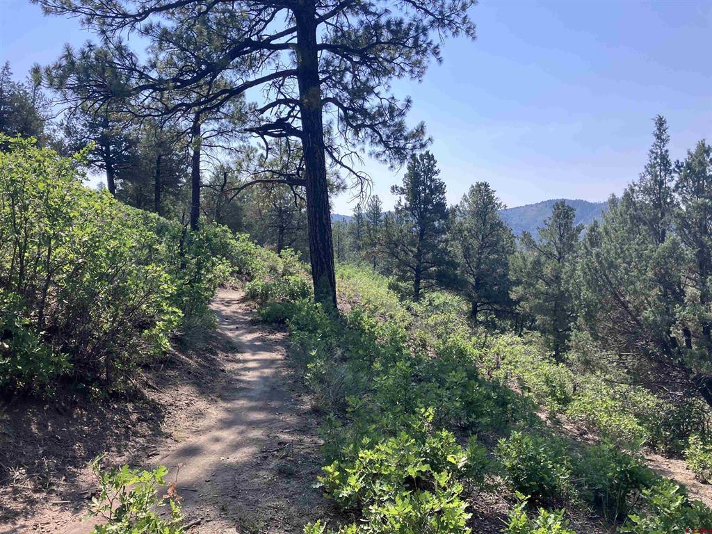 104 Winterberry Court Durango CO 81301