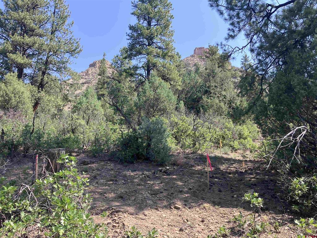 104 Winterberry Court Durango CO 81301