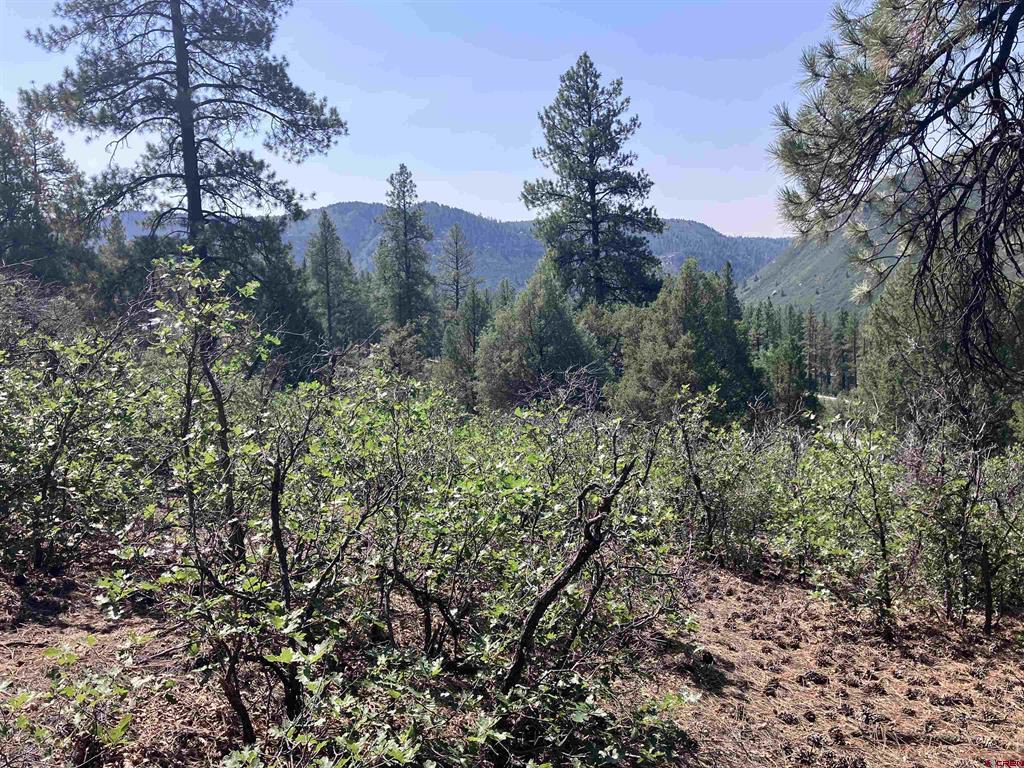 104 Winterberry Court Durango CO 81301