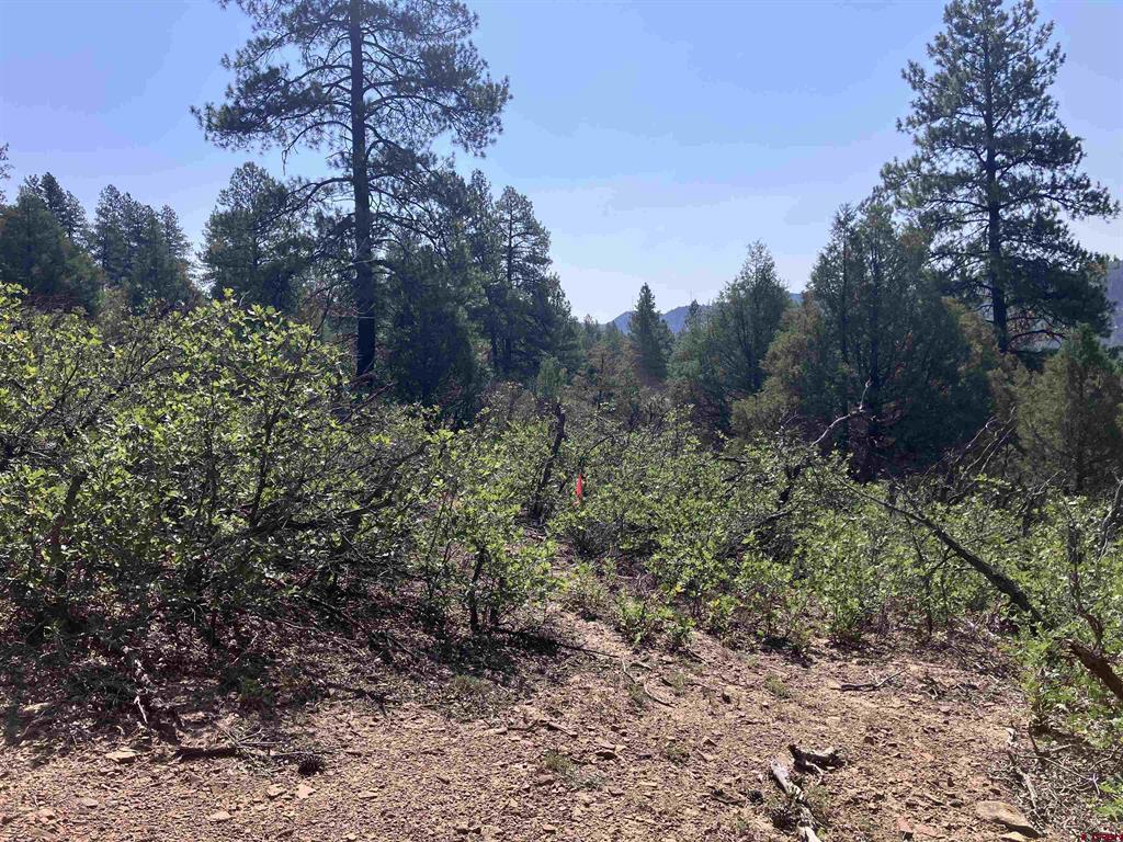 104 Winterberry Court Durango CO 81301