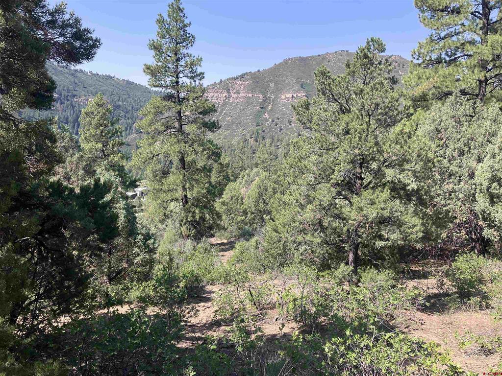 104 Winterberry Court Durango CO 81301