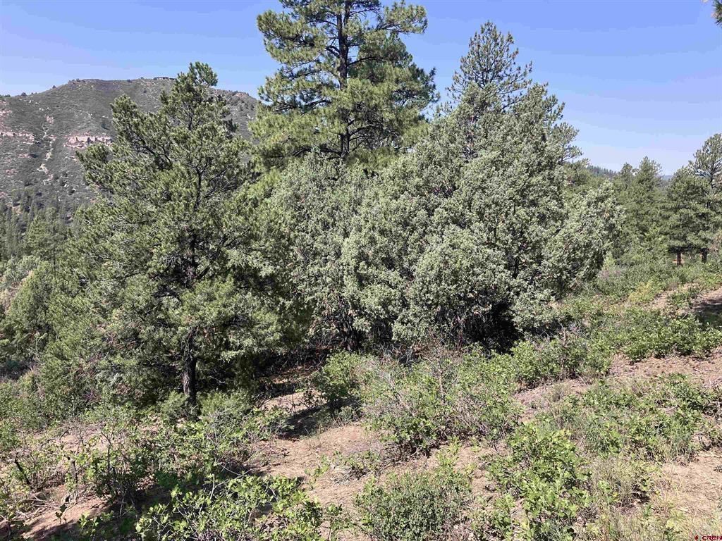 104 Winterberry Court Durango CO 81301
