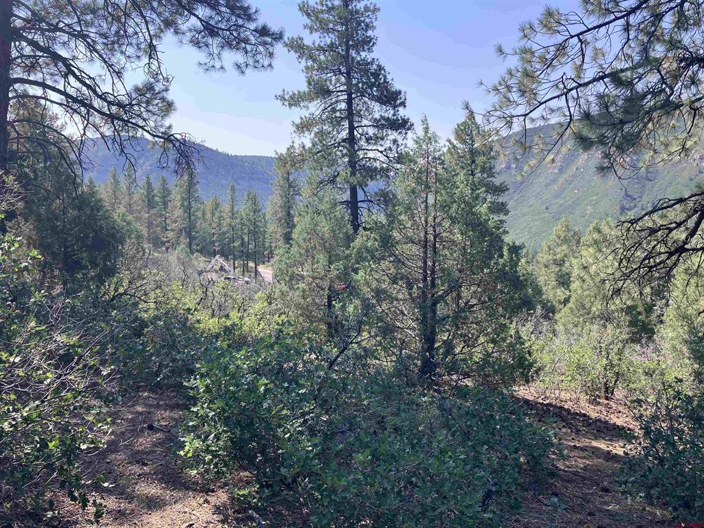 104 Winterberry Court Durango CO 81301