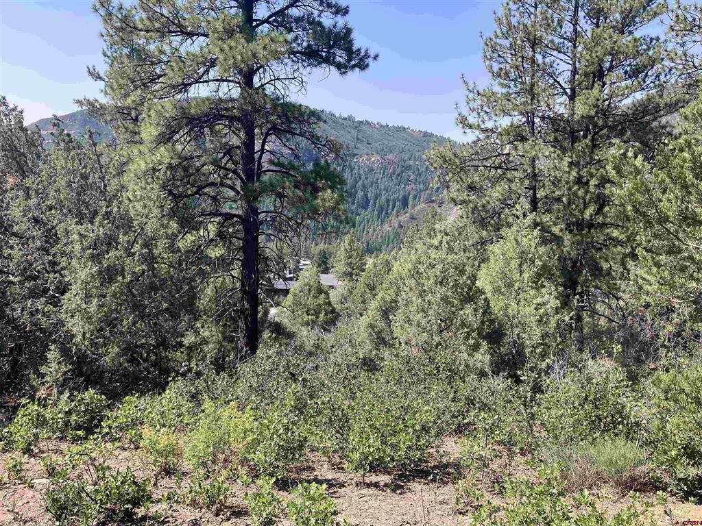 104 Winterberry Court Durango CO 81301