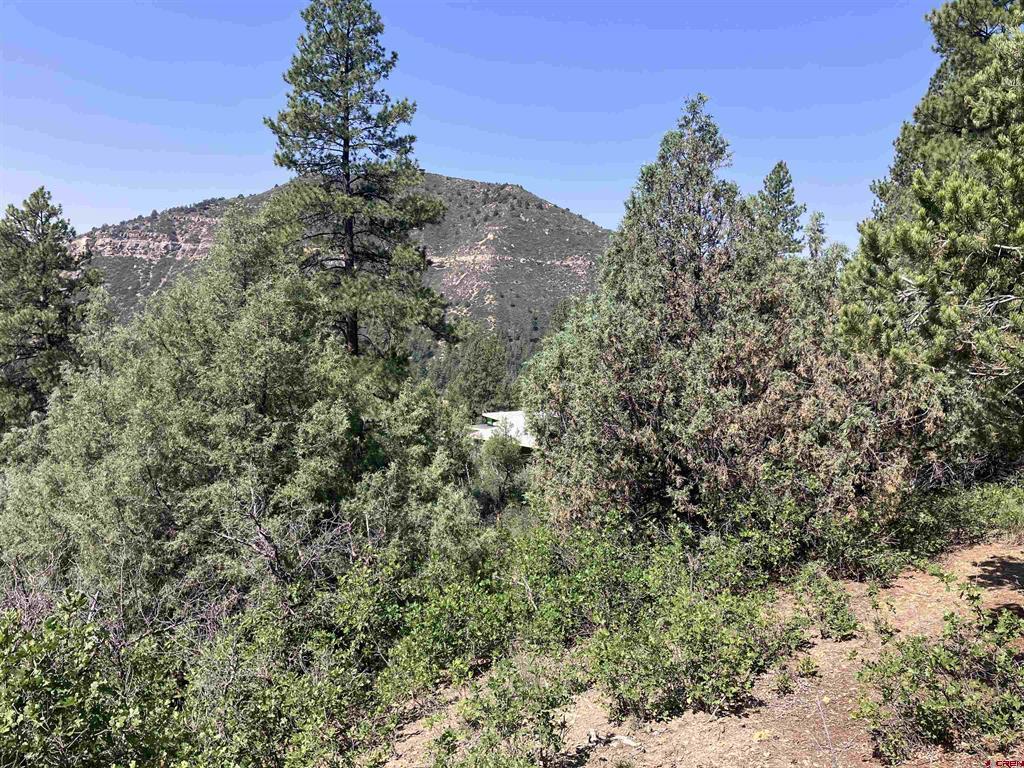 104 Winterberry Court Durango CO 81301