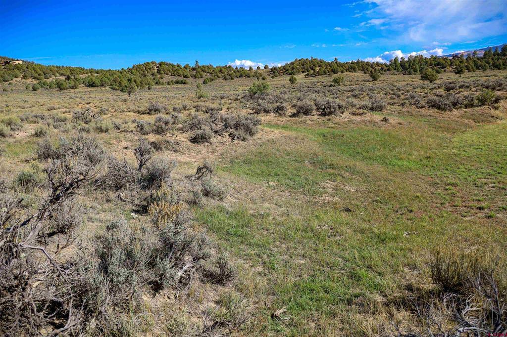 X Tall Pines Place Pagosa Springs CO 81147